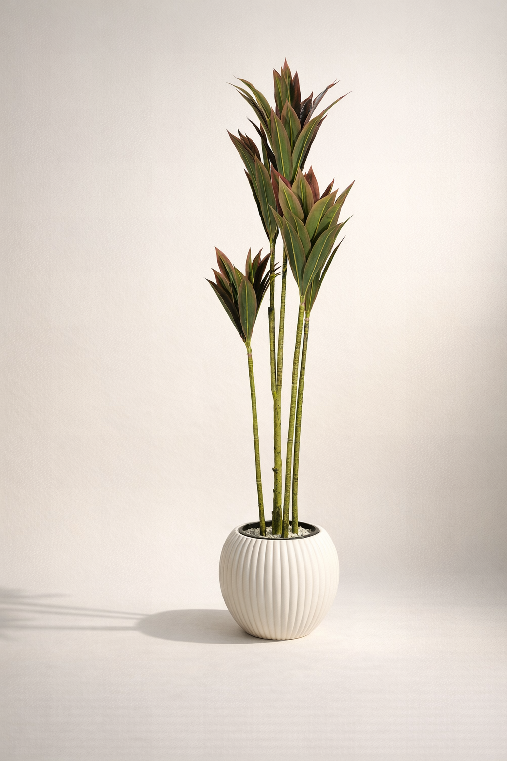 Artificial Dracaena in White Ribbed Pot – 180 cm — full studio view