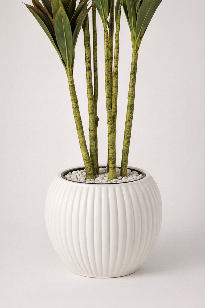 Artificial Dracaena in White Ribbed Pot – 180 cm — trunk and original planter close-up