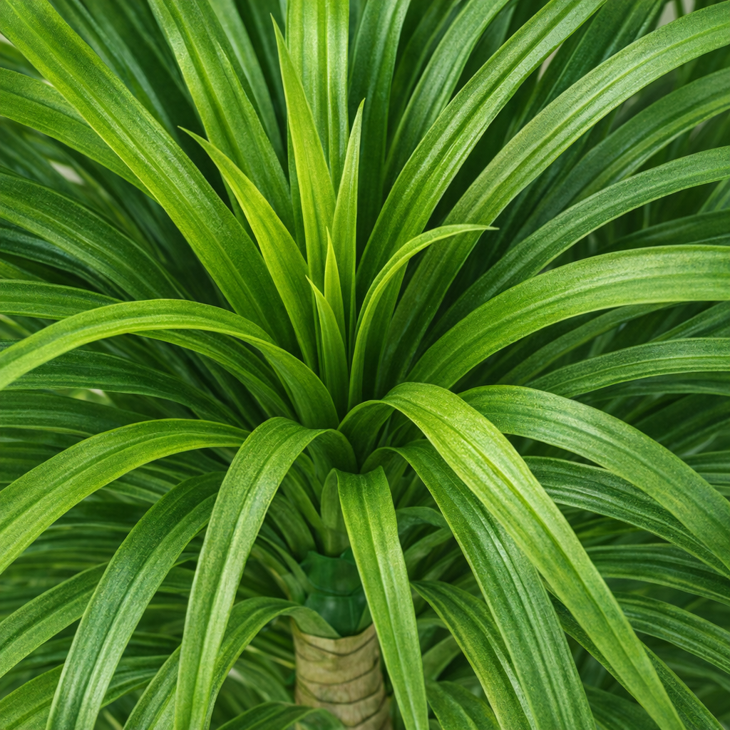 Artificial Multi-Head Dracaena in Black Ribbed Pot – 165 cm — foliage close-up