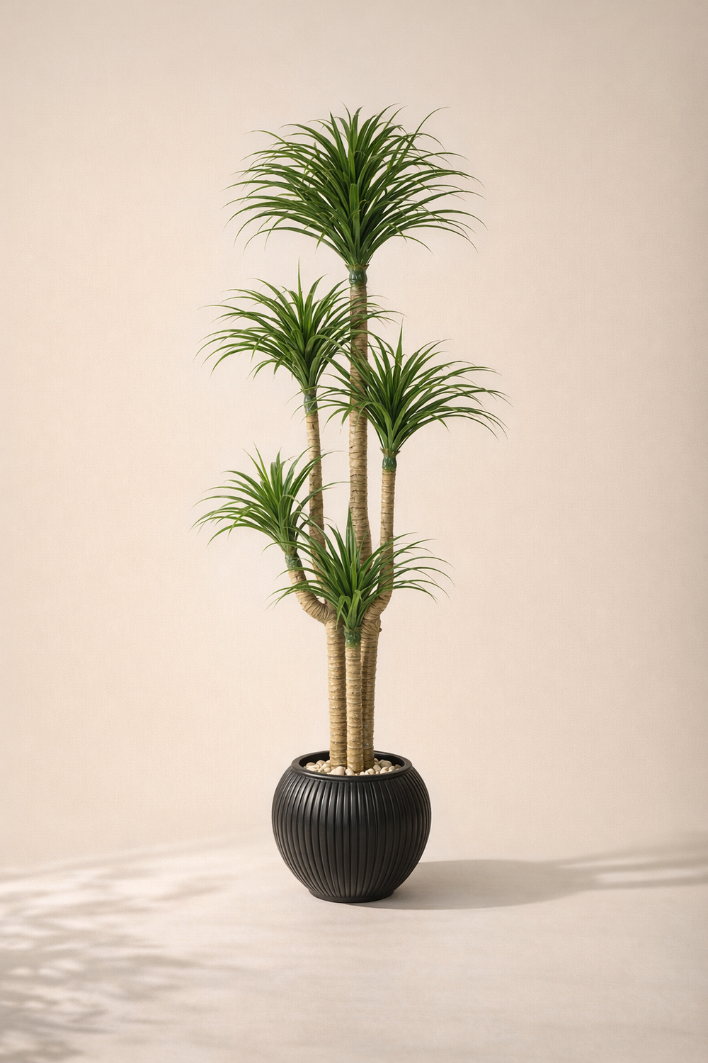 Artificial Multi-Head Dracaena in Black Ribbed Pot – 165 cm — full studio view