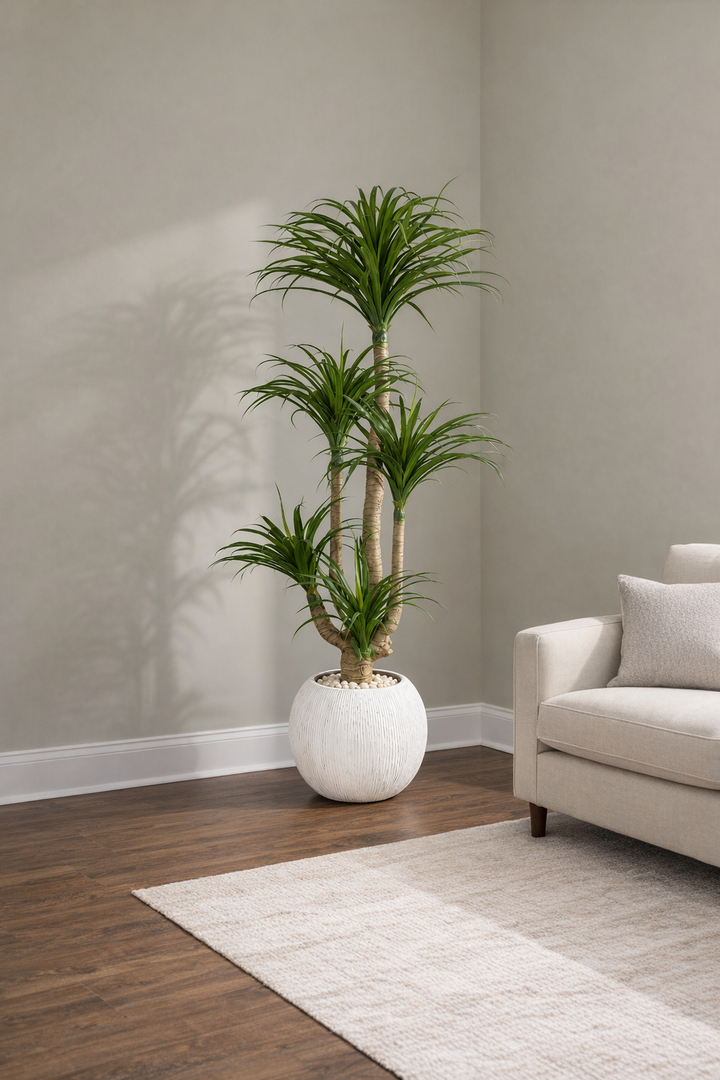 Artificial Multi-Head Dracaena in White Textured Pot – 170 cm — interior lifestyle view