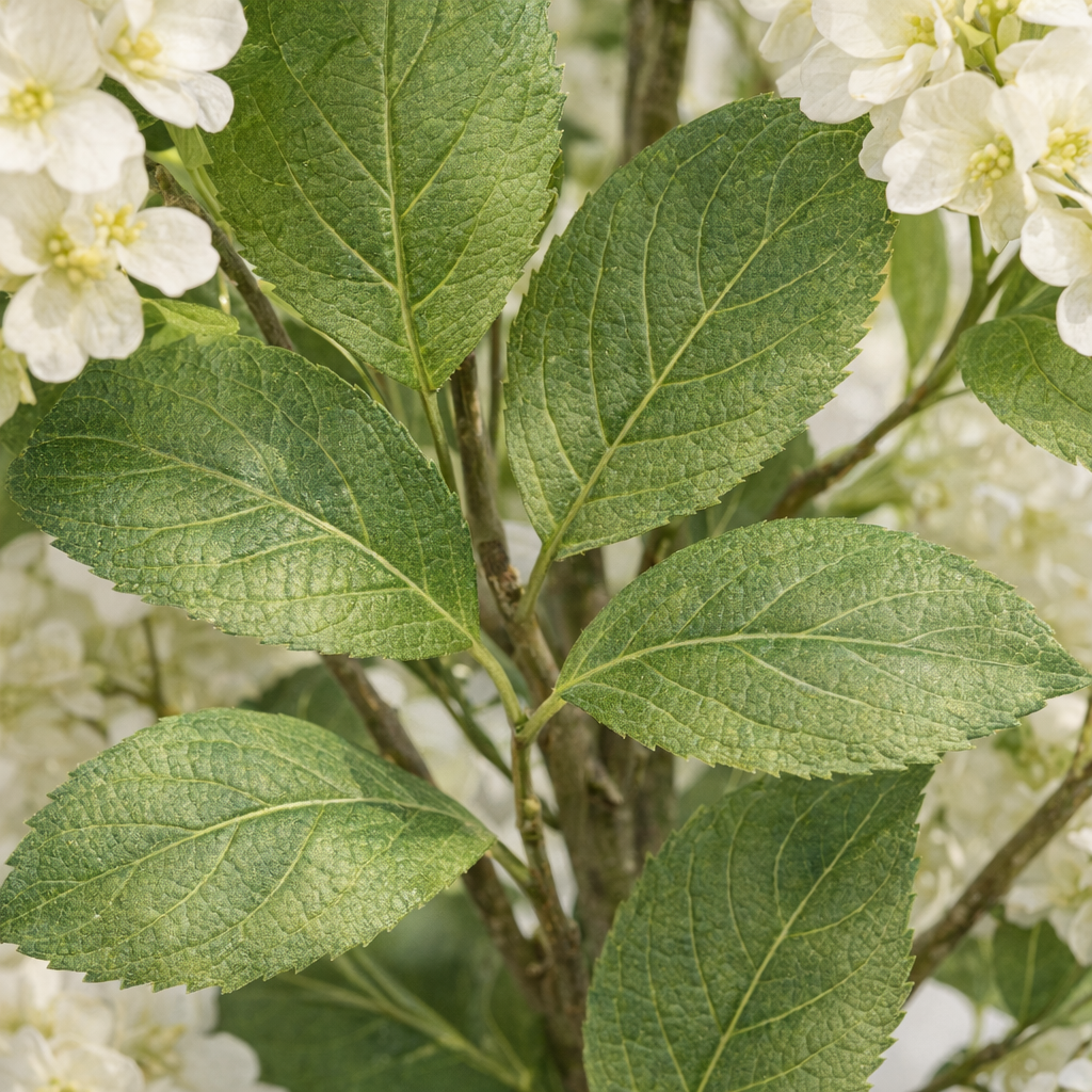 Artificial White Hydrangea Tree in Fiberglass Pot – 170 cm — foliage close-up