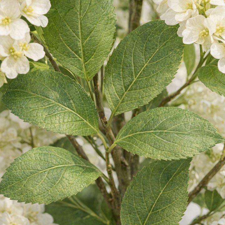 Artificial White Hydrangea Tree in Fiberglass Pot – 170 cm — foliage close-up