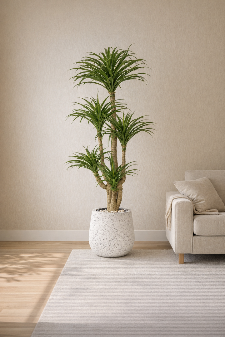 Artificial Multi-Head Dracaena in Speckled Fiberglass Pot – 175 cm — interior lifestyle view