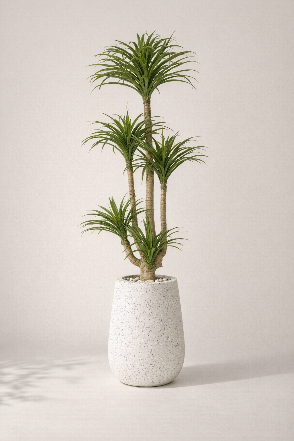 Artificial Multi-Head Dracaena in Speckled Fiberglass Pot – 175 cm — full studio view