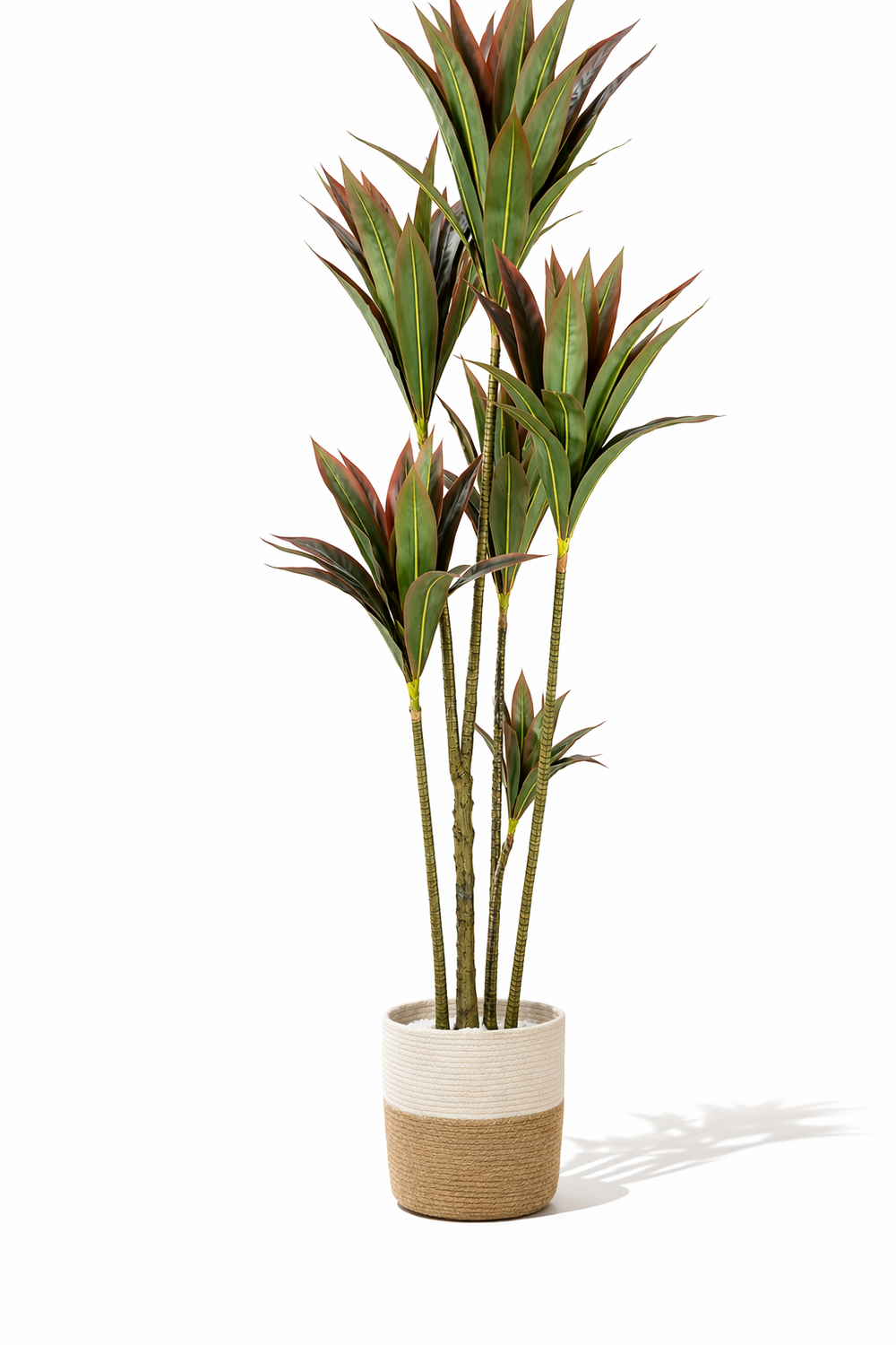 Artificial red-green Dracaena tree with original woven planter — studio view