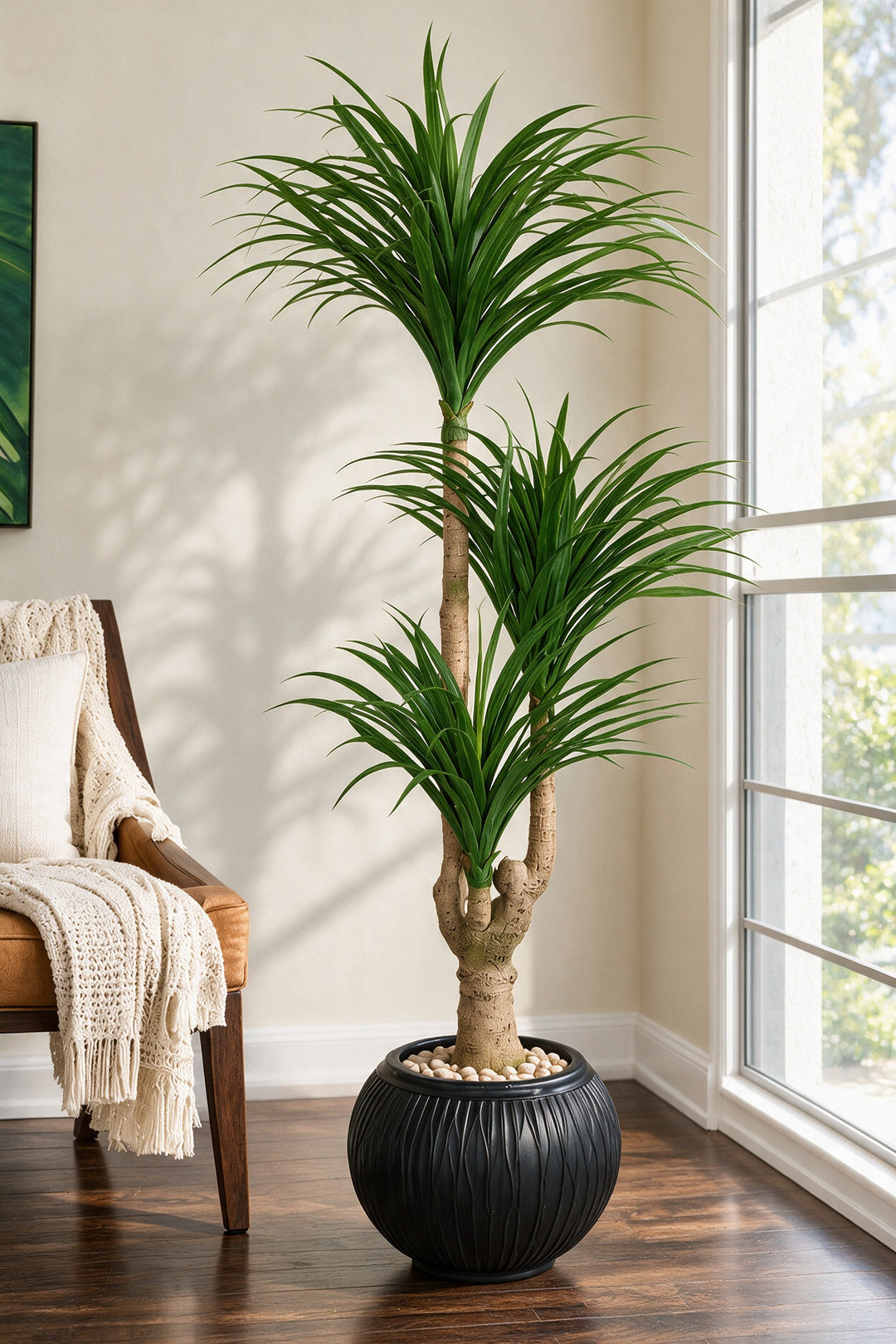 Artificial Three-Head Dracaena in Black Ribbed Pot – 165 cm — full interior view
