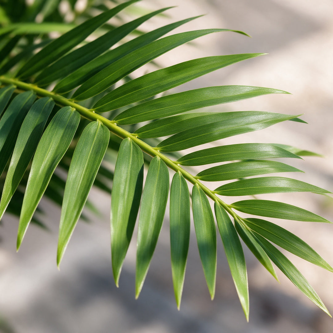 Artificial Palm in Gold Fiberglass Pot – 170 cm — foliage close-up