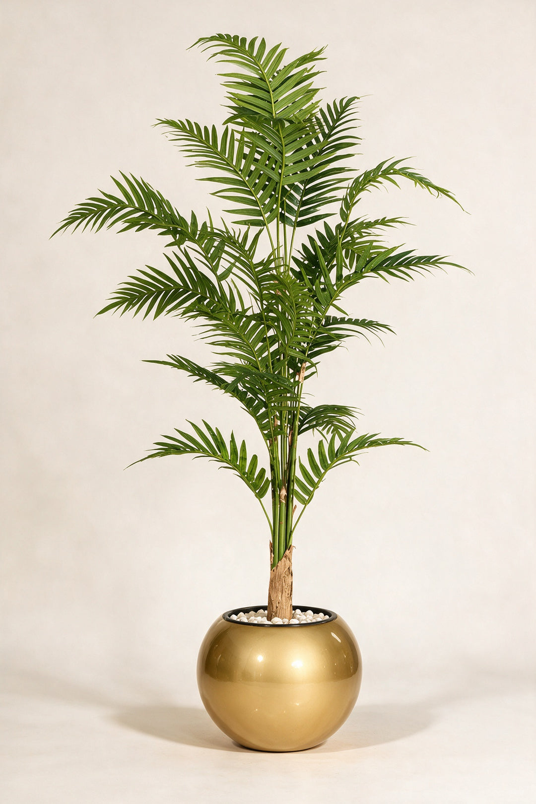 Artificial Palm in Gold Fiberglass Pot – 170 cm — full studio view