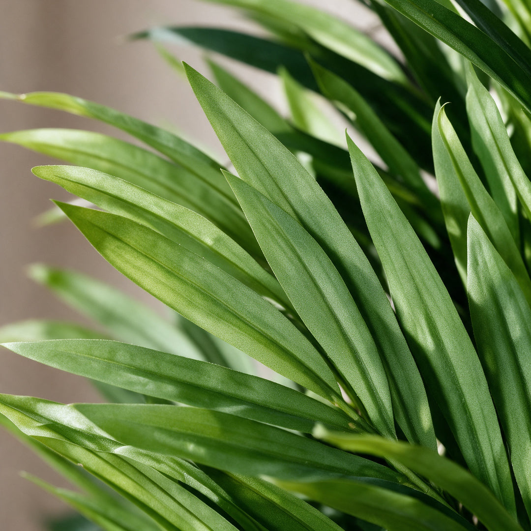 Artificial Green Foliage Tree in Woven Basket – 180 cm — foliage close-up