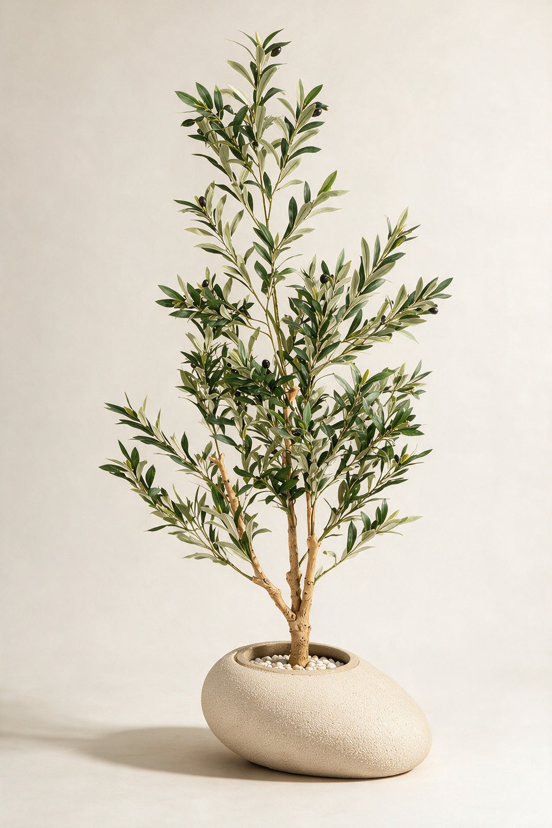 Artificial Olive Tree in Asymmetric Fiberglass Pot – 160 cm — full studio view