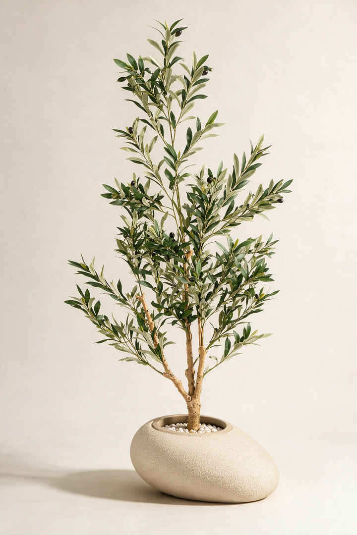 Artificial Olive Tree in Asymmetric Fiberglass Pot – 160 cm — full studio view