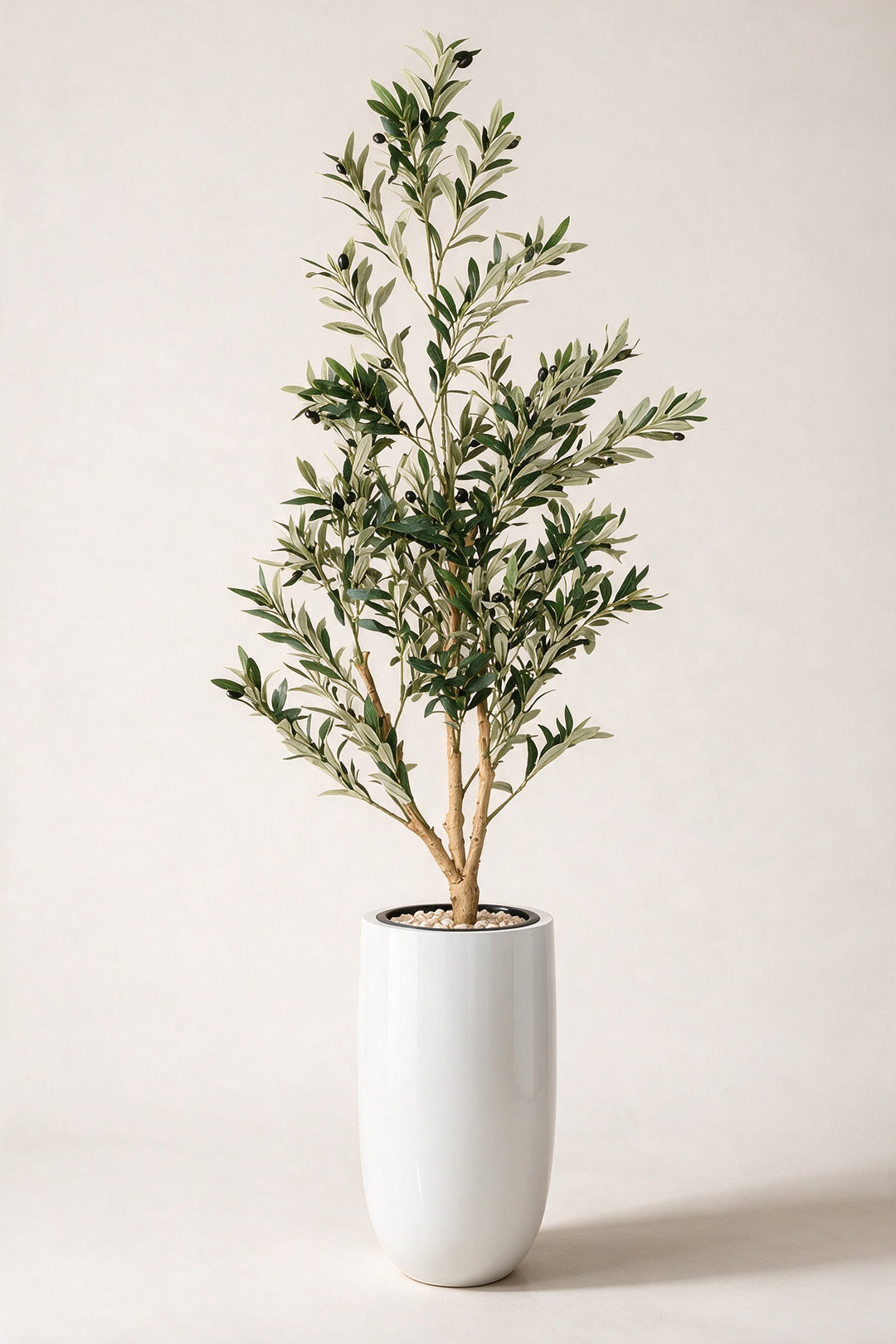 Artificial Olive Tree in Tall White Fiberglass Pot – 200 cm — full studio view