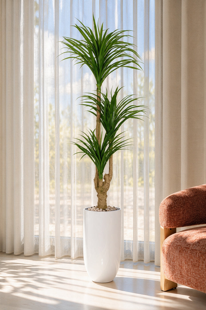 Artificial Three-Head Dracaena in Tall White Fiberglass Pot – 200 cm — full interior view