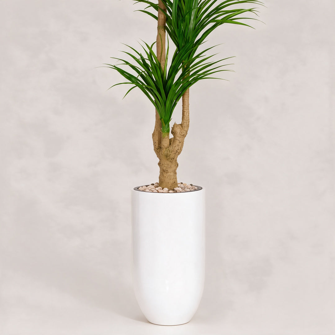 Artificial Three-Head Dracaena in Tall White Fiberglass Pot – 200 cm — original trunk and planter close-up