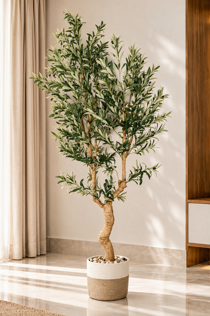 Artificial Olive Tree with Curved Trunk in Woven Pot – 210 cm — complete interior view