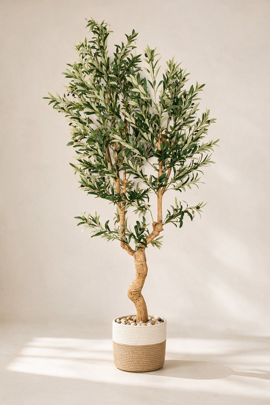 Artificial Olive Tree with Curved Trunk in Woven Pot – 210 cm — complete studio view