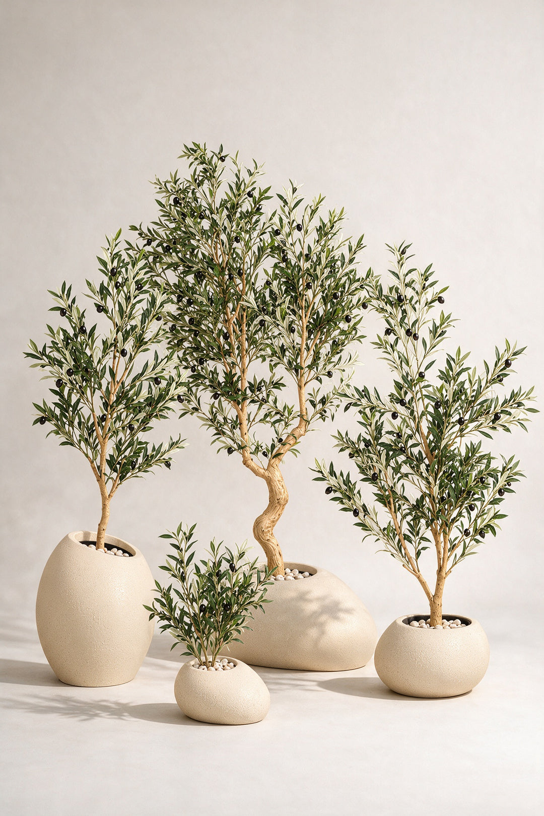 Artificial Olive Tree Set of 4 in Beige Fiberglass Pots — full studio view