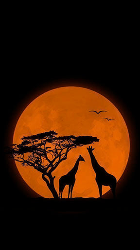 African Sunset Giraffes premium canvas wall art with MDF frame and glass front