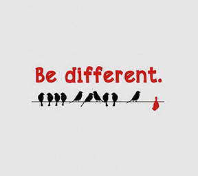 Be Different Birds Canvas minimalist motivational artwork with MDF frame and glass front panel.