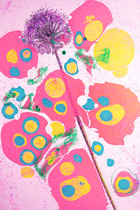 Wadi Home abstract floral wall art with pink, yellow, and blue hues. Features a purple allium flower and energetic floral shapes on a pink background.