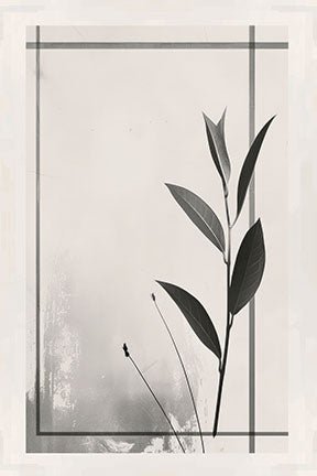 Wadi Home Botanical Line Art Framed Wall Art, black and white minimalist leaf print in a white frame.