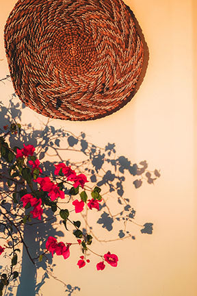 Wadi Home woven basket wall art with vibrant pink bougainvillea blossoms and shadows on a peach-toned wall.
