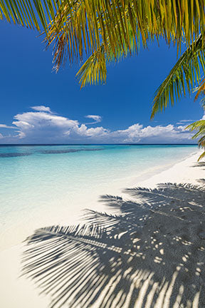 Wadi Home tropical beach wall art with palm tree shadows on white sand and turquoise water under a blue sky.