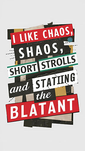 Wadi Home I Like Chaos, Shaos, Short Strolls and the Blatant graphic art print with bold text and collage elements.