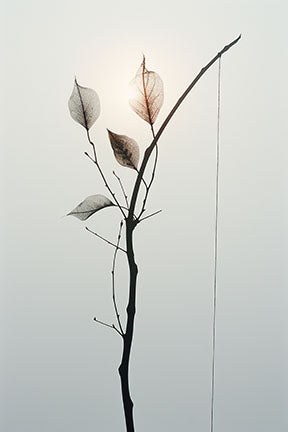 Wadi Home delicate branch botanical art with translucent leaves against a soft background, framed in natural wood or black.