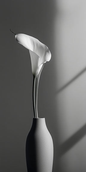 Wadi Home elegant white calla lily botanical art print in minimalist vase, monochromatic, serene, sophisticated.