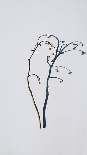 Wadi Home minimalist botanical branch wall art in brown and deep blue on white background, modern Scandinavian decor.