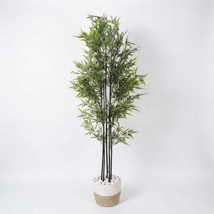 Artificial decorative plant studio shot on white background