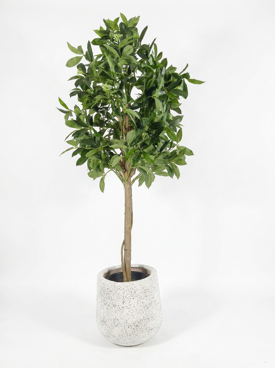 Artificial Ficus Tree with Flower Buds - White Studio Background