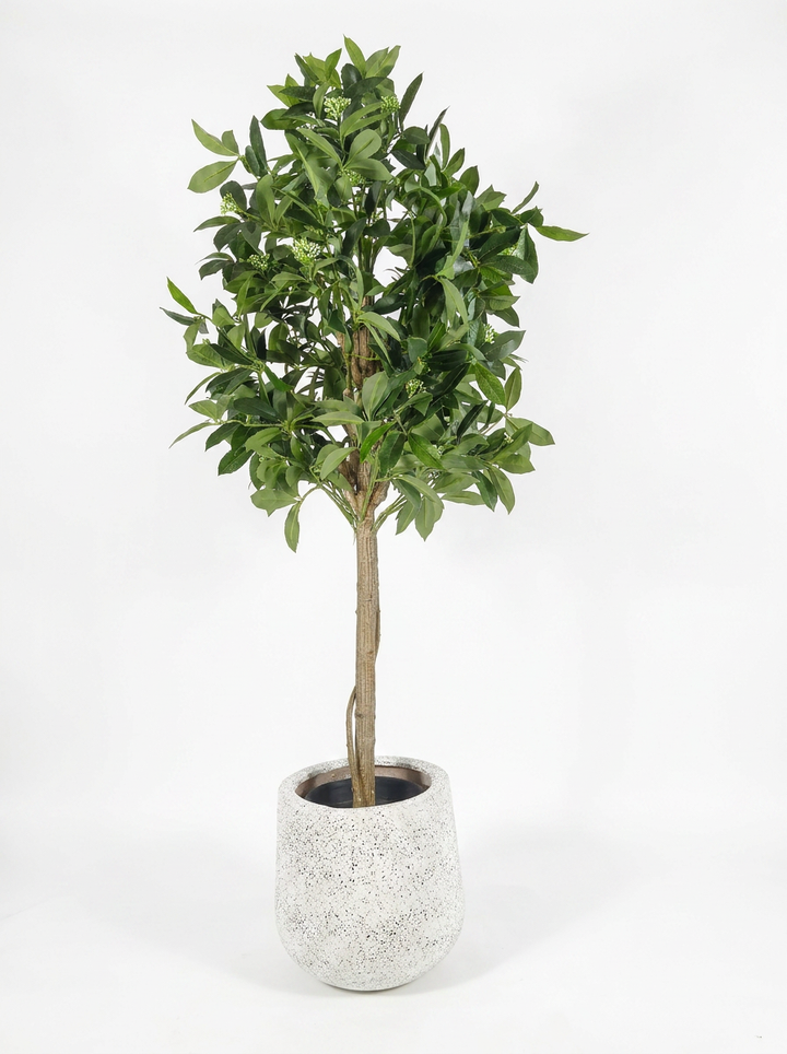 Artificial Ficus Tree with Flower Buds - White Studio Background