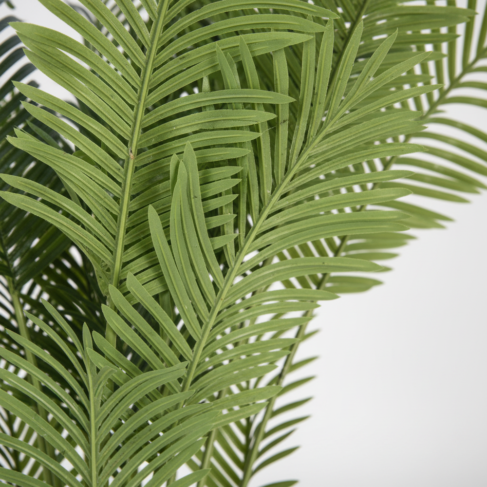 Close-up of artificial snake plant vertical blade-like leaves on white studio background