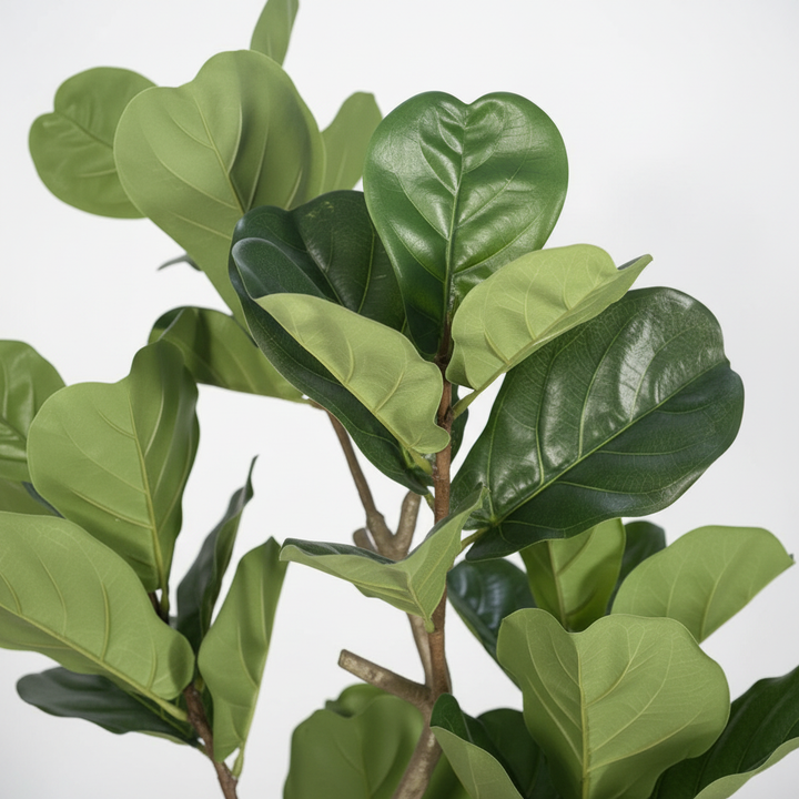 Close-up of artificial myrtle green foliage on white studio background