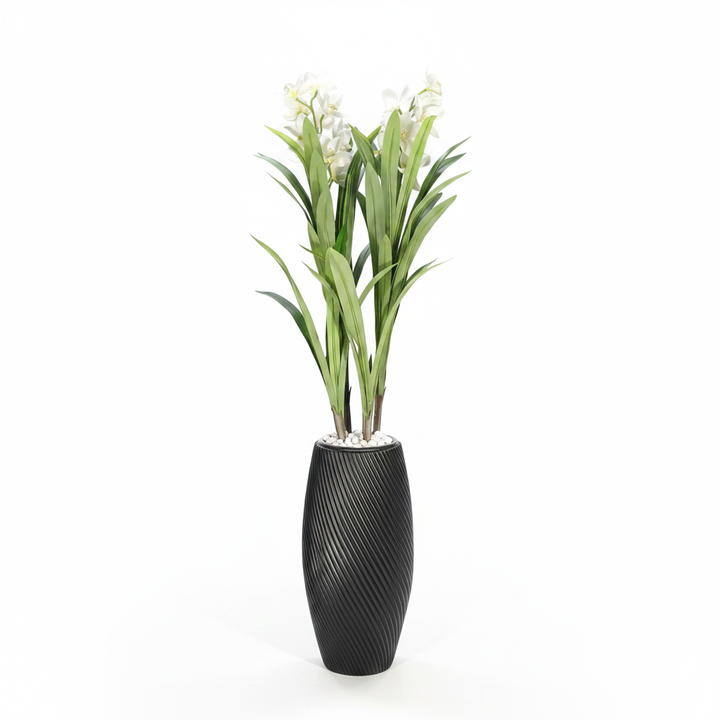 Artificial asparagus fern full studio shot on white background