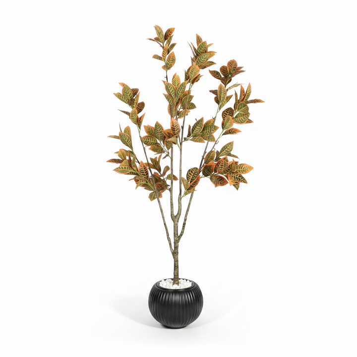 Artificial boxwood shrub full studio shot on white background