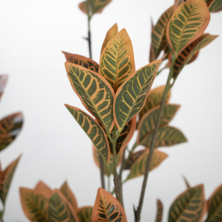 Close-up of artificial boxwood dense foliage on white studio background