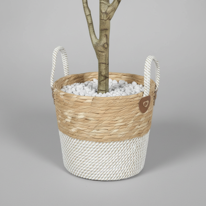 Close-up macro of artificial Ficus white pot on gray studio background