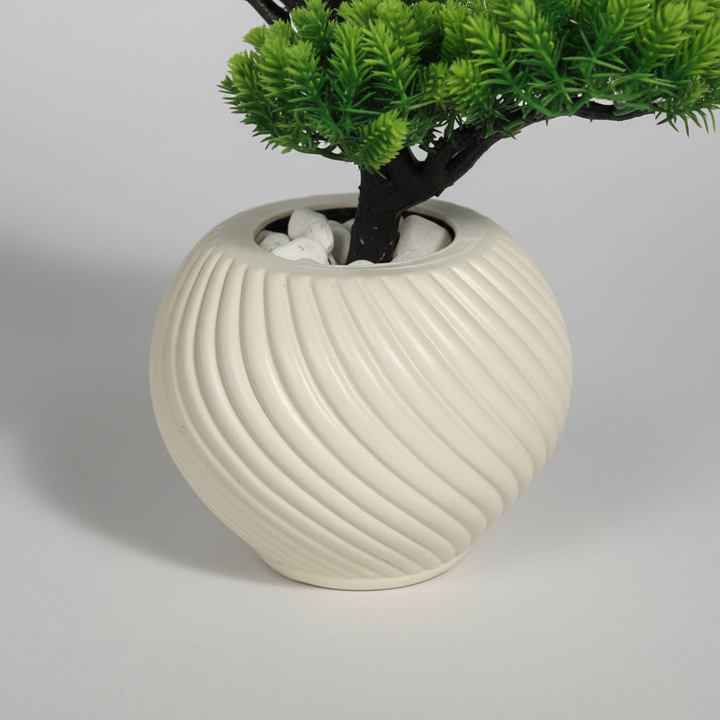 Close-up macro of artificial peperomia black pot on light gray studio background