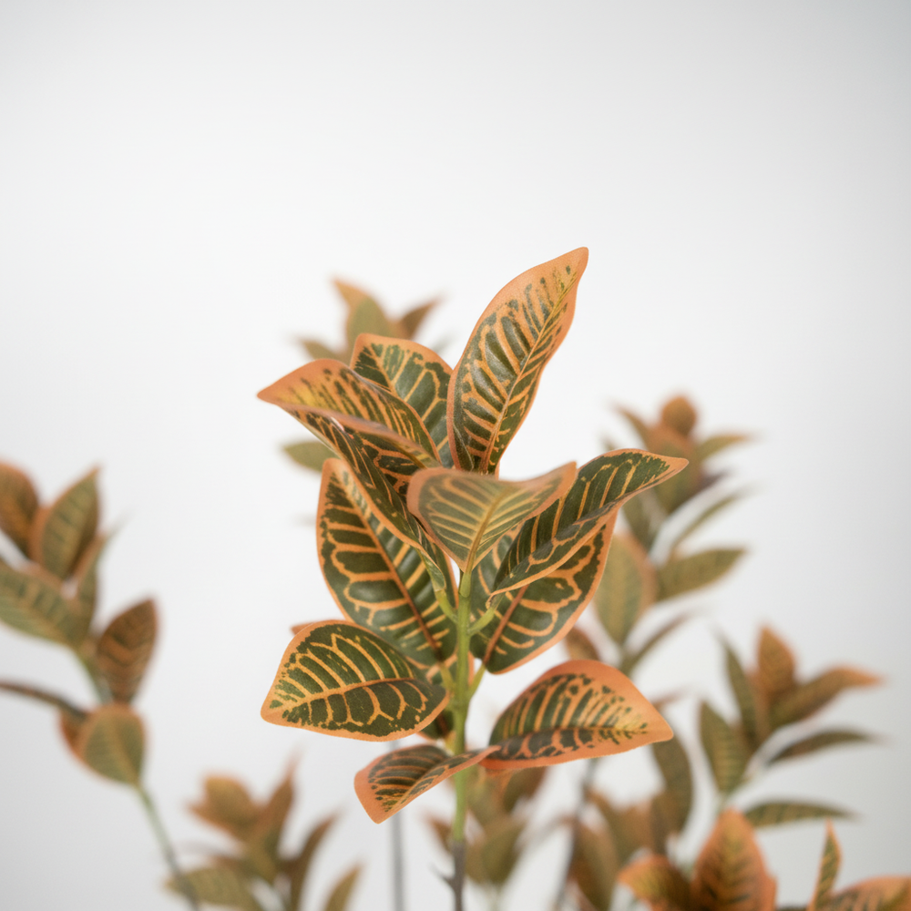 Close-up of artificial boxwood green foliage on white studio background