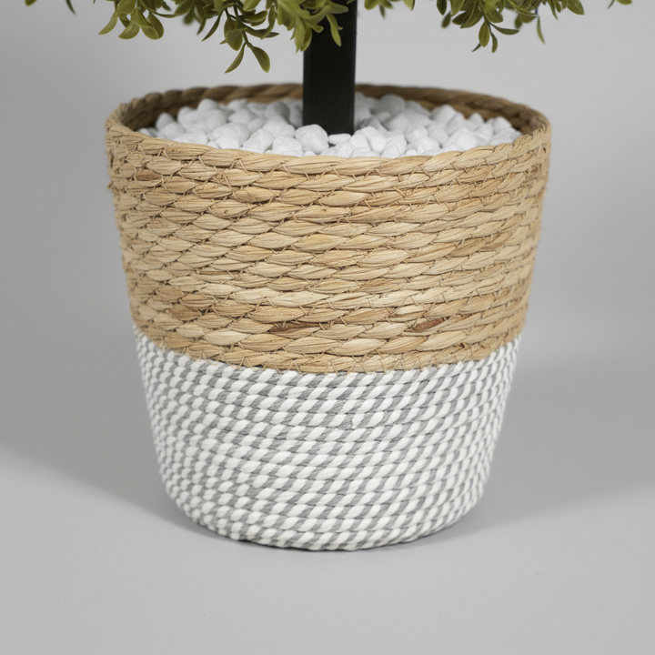 Close-up macro of artificial fern white pot on light gray studio background