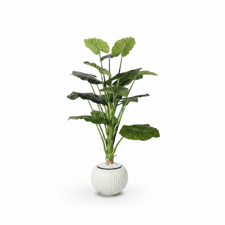 Artificial decorative plant full studio shot on white background