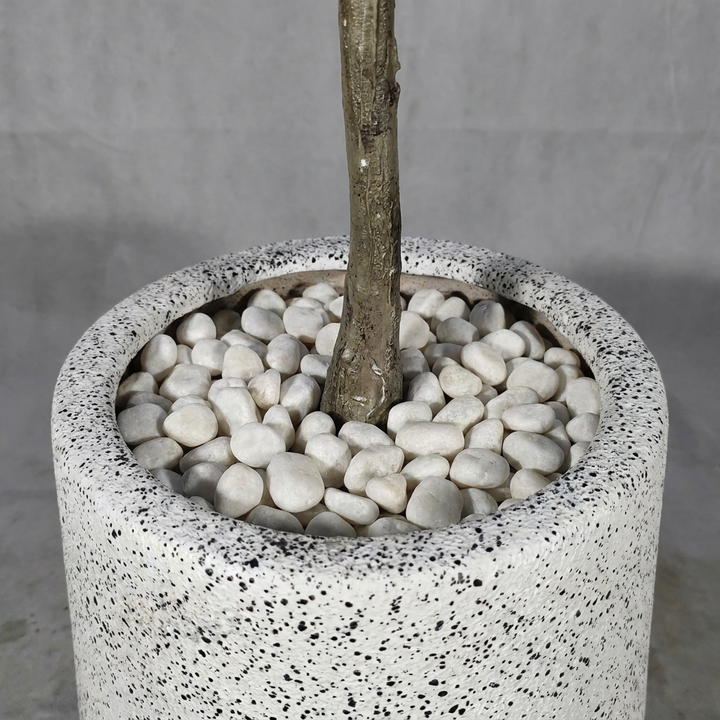 Close-up of pot base with decorative white pebbles