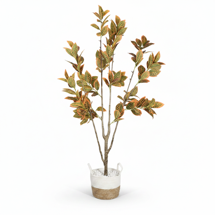 Artificial boxwood shrub full studio shot on white background