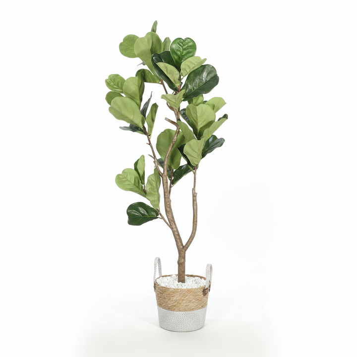 Artificial myrtle shrub full studio shot on white background