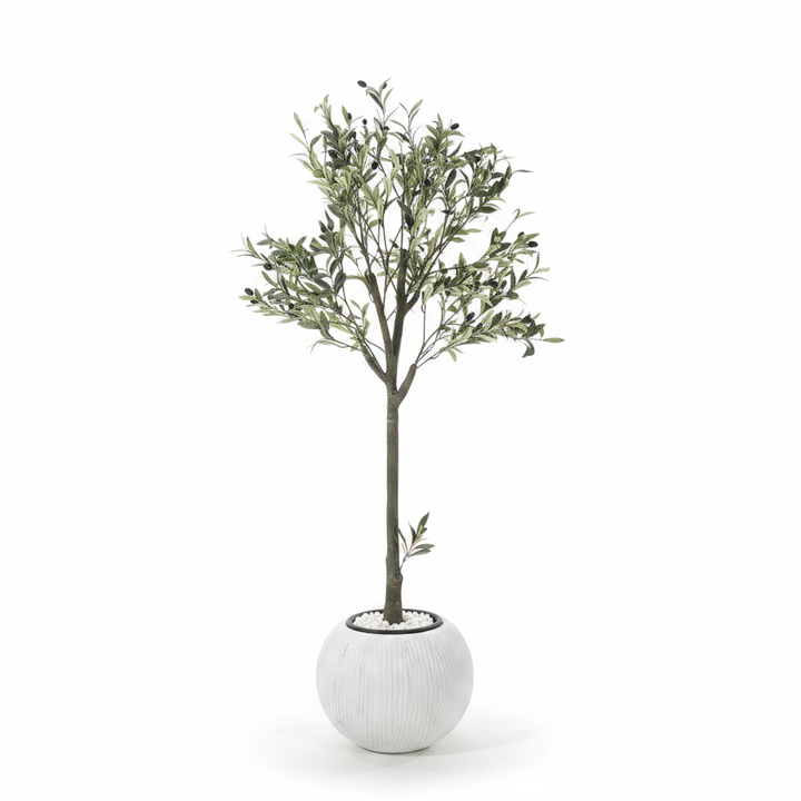 Artificial olive tree full studio shot on white background