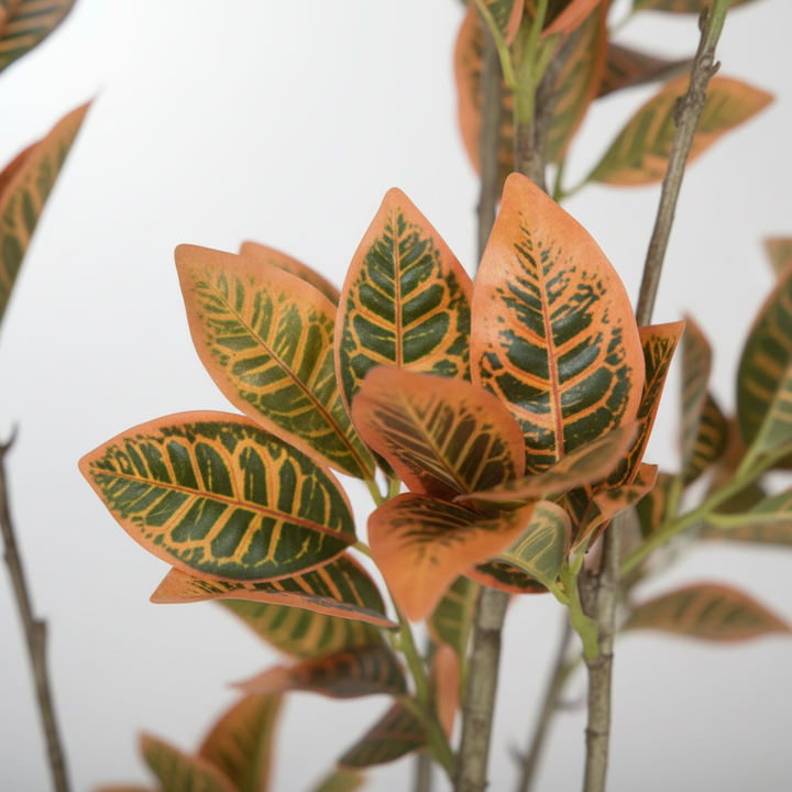 Close-up of artificial Ficus tree green foliage on white studio background